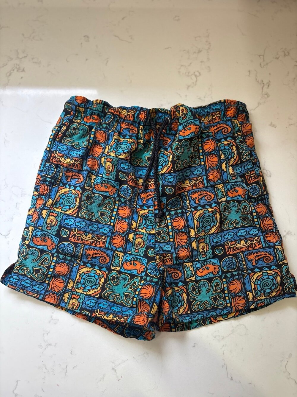 Vintage Boys Sonoma Swimming Trunks